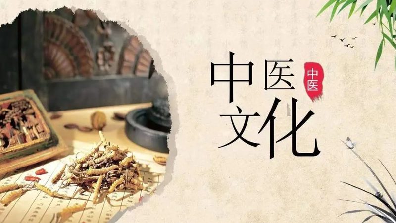 艾灸柱：探寻河南南阳道地药材的养生奥秘**